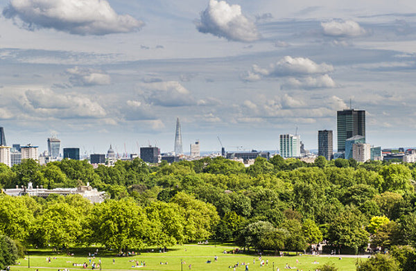 London Part-Time Weekend Living Nutrition Practitioner Course