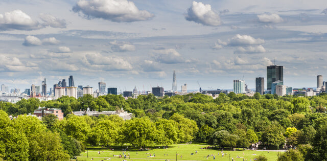 First Payment for London Master Practitioner Course October 2026 to May 2027